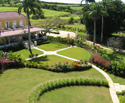 Talma Mill Studios - landscape design - Barbados