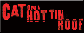 Black production of Cat on a Hot Tin Roof looking for diverse team