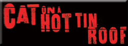Black production of Cat on a Hot Tin Roof looking for diverse team