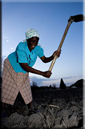 The Merry Wives of Wedza by Sarah Norman