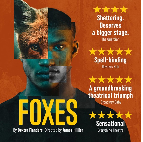 Foxes by Dexter Flanders
