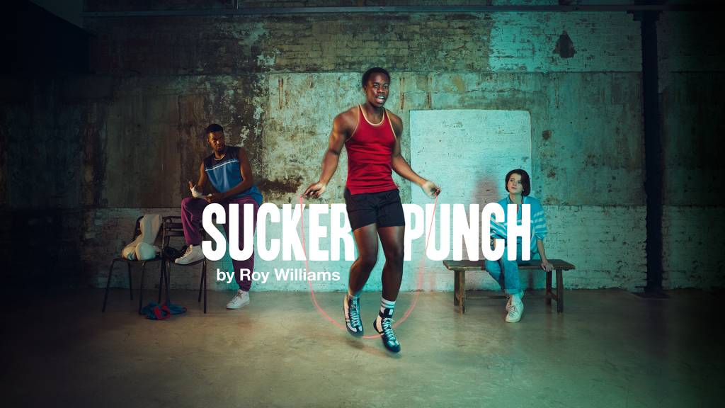 Sucker Punch by Roy Williams