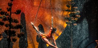 Cirque du Soleil Luzia– review Luzia Cirque du Soleil (c) Matt Beard
