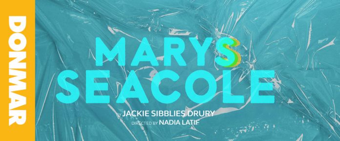 Marys Seacole by Jackie Sibblies Drury