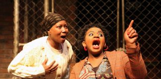 And the Girls in their Sunday Dress by Zakes Mda – review (c) Ruphin Coudyzer And The Girls In Their Sunday Dresses - Jul 2010