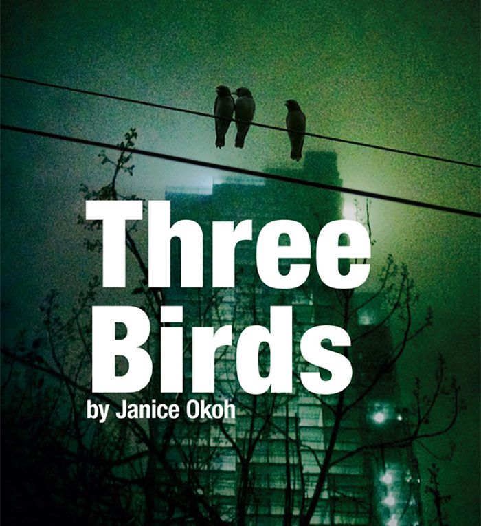 Three Little Birds by Janice Okoh