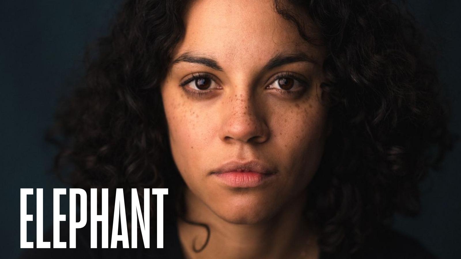 Elephant by Anoushka Lucas, Bush Theatre