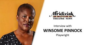 Winsome Pinnock – Pig Heart Boy interview playwright