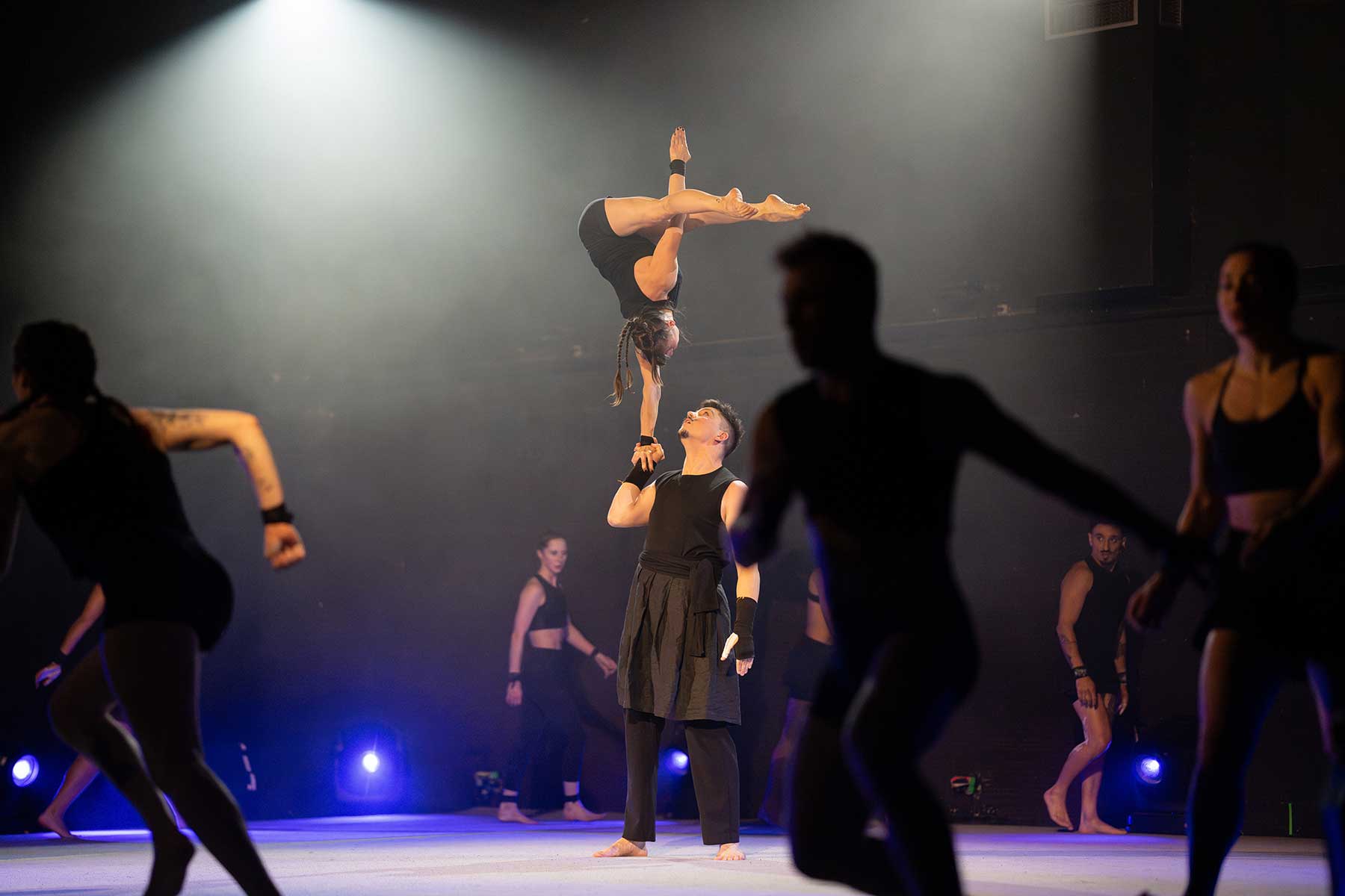 The Genesis – Copenhagen Collective – review 1 The Genesis – Copenhagen Collective