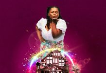 Cinderella at Stanley Arts 13-29 Dec 2025 Cinderella at Stanley Arts