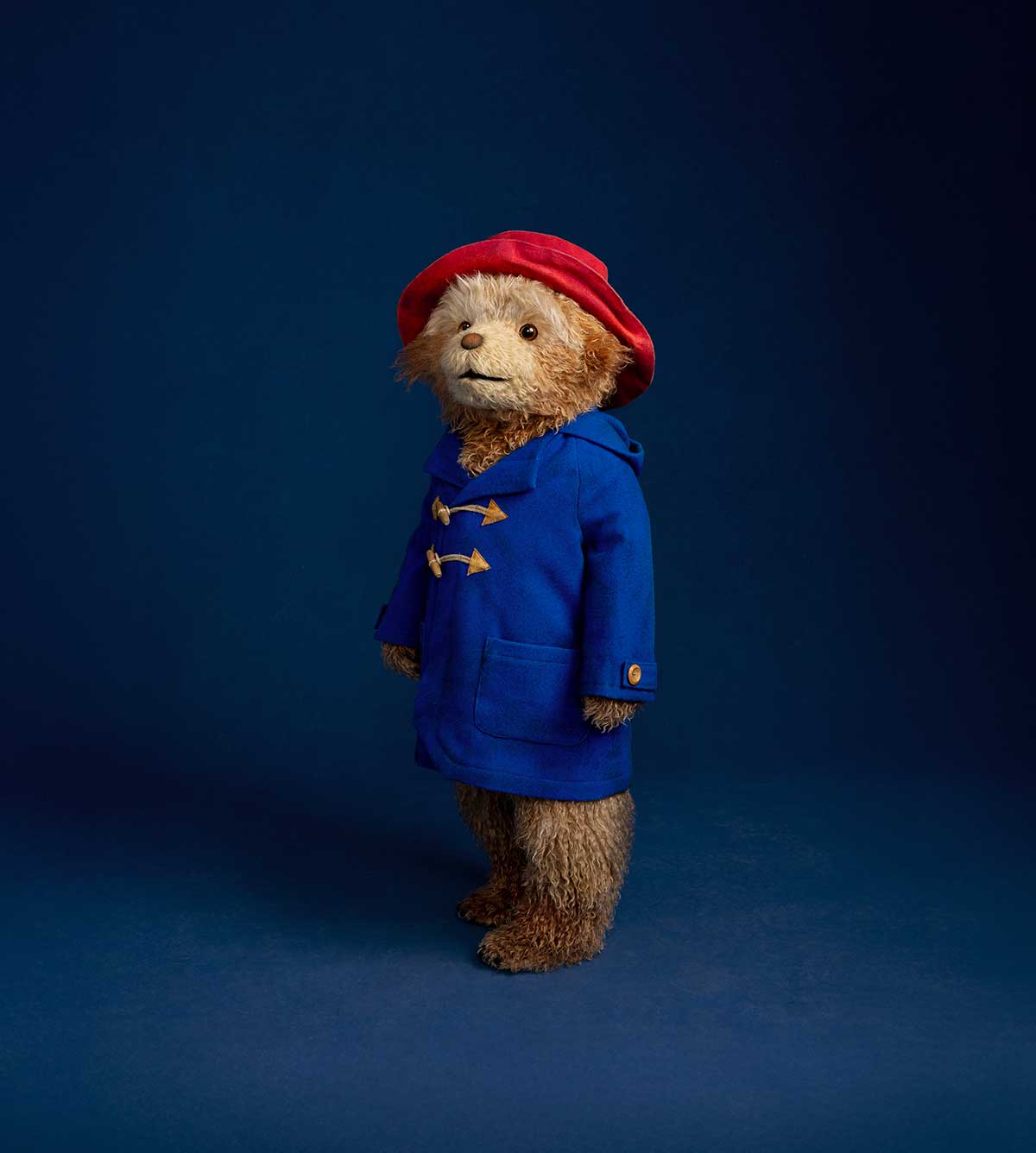 First Look. PADDINGTON the Musical <br /> Meet Paddington 2 Paddington (c) Isha Shah (Primary)