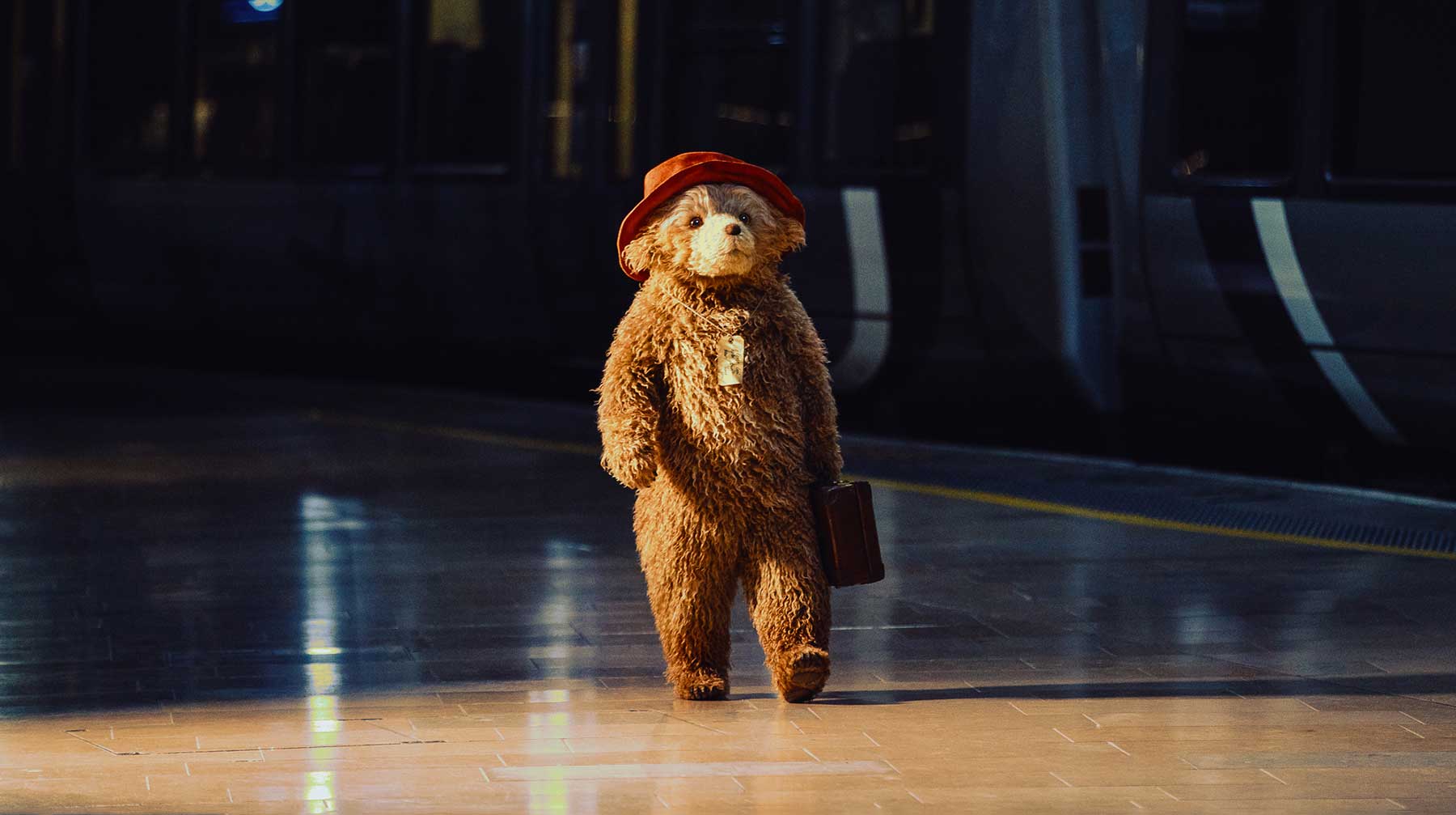 First Look. PADDINGTON the Musical <br /> Meet Paddington 3 Paddington (c) Isha Shah (Primary)