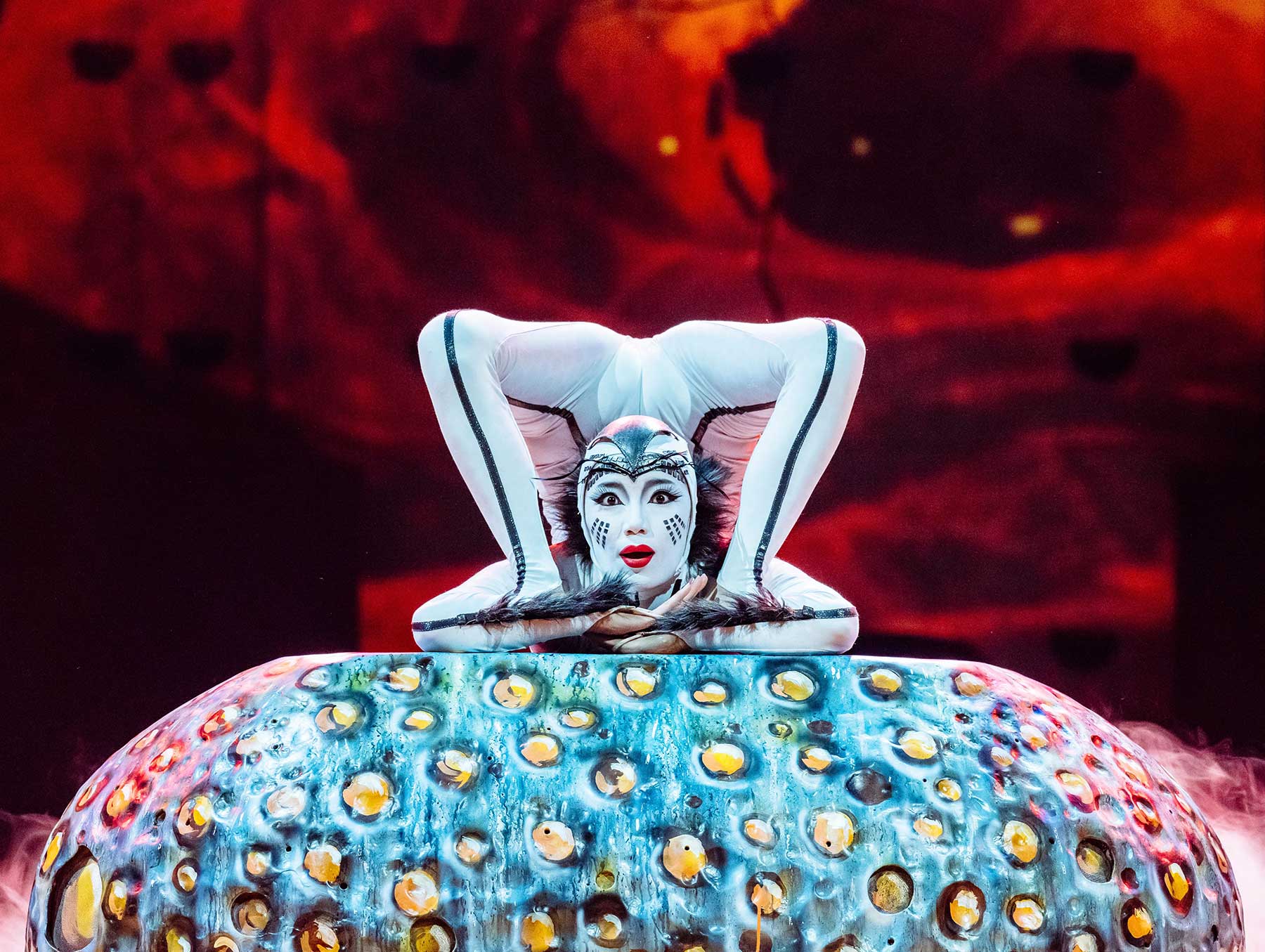 OVO Marie-Andree Lemire