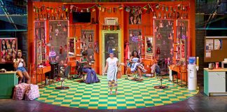 Jaja’s African Hair Braiding by Jocelyn Bioh: – review Jajas Sewa Zamba, babirye bukilwa, Dolapo Oni, and Jadesola Odunjo