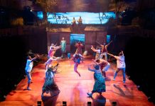 The Boy Who Harnessed the Wind – review The Boy Who Harnessed the Wind company. credit Tyler Fayose