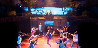 The Boy Who Harnessed the Wind – review The Boy Who Harnessed the Wind company. credit Tyler Fayose