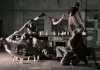Hang Time By Marikiscrycrycry 29 – 31 Oct 2026 Hang Time by Malik-Nashad Sharpe - Photo credit: Ralf Hersborg